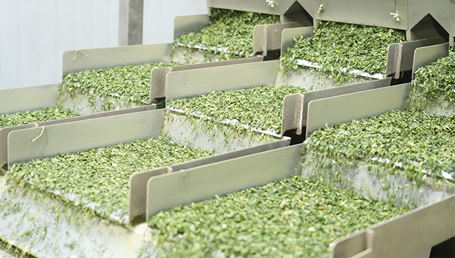 Xinghua zeleninové Foods Co., Ltd.