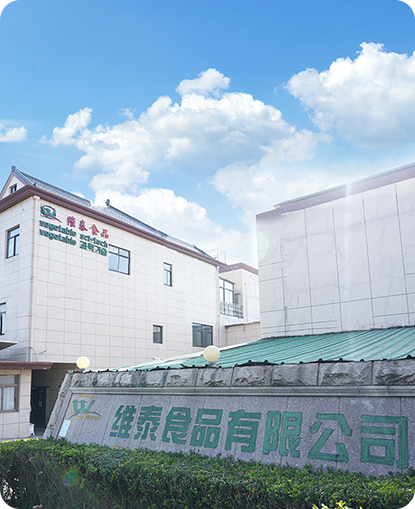 Xinghua zeleninové Foods Co., Ltd.